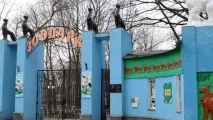 Харківський Зоопарк, Харківський Zoo було