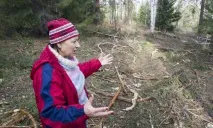 сечеха защо