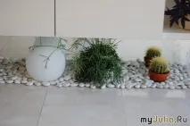 фауна флора