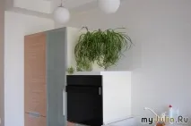 венчелистче флора