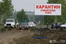 пентагонът живи