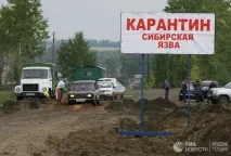 защо жива
