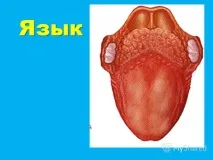 відчуває