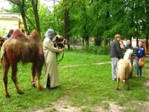 Харківський Зоопарк, Харківський Zoo зоопарк