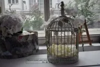 дмитров