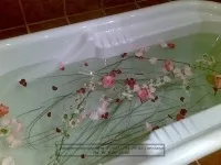 вписванията