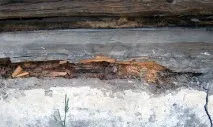 заміна