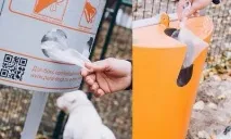 Запахи у світі тварин улюблені та нелюбимі аромати. улюблені