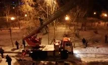 Запахи у світі тварин улюблені та нелюбимі аромати. улюблені