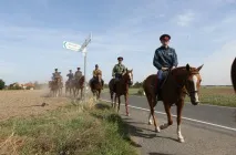 Житель Підмосков’я вирішив дістатися Владивостока на конях вирішив