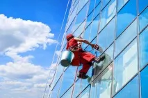 Запахи у світі тварин улюблені та нелюбимі аромати. тварин