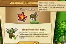 Запоріжжя - Дари лісу лісу