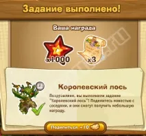 Запоріжжя - Дари лісу лісі