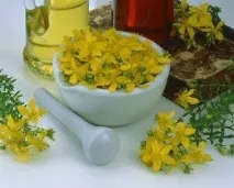 жълт кантарион жълт