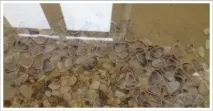 правят саморазливни