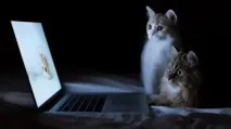 знаели които