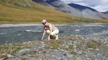 поради причини