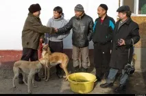 спартанци