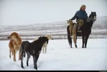 породата