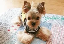 забавни факта