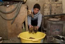 спартанци