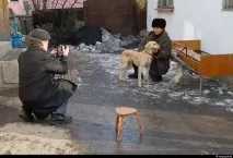 снимки