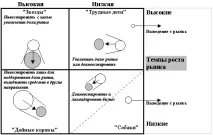 діяльності