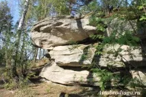 челябинска arakul
