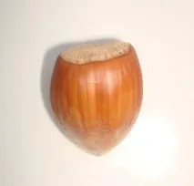 горіхів