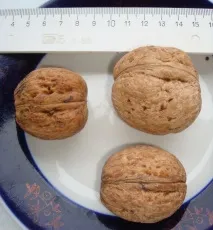 вирощування