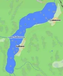 Бабинське озеро (Кінгісепський район) Всі озера Ленінградської області та види риби, що мешкає в них район