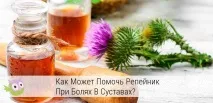 лопуха
