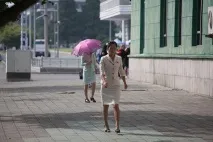 кндр кндр
