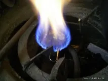козя шулц