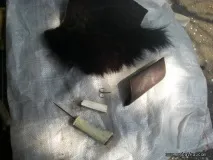 брадичка теория