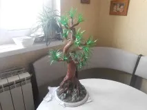 пластмасови пластмасови бутилки
