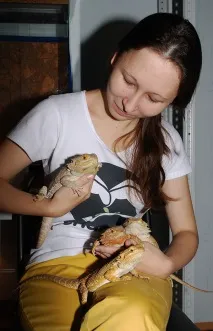 брадатият брадатият