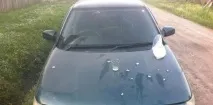 Чим відмити з машини тополині бруньки в домашніх умовах чим відмити сліди тополиних бруньок з машини тополині