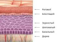 Бульозний епідермоліз - особливості захворювання та догляду за людьми-метеликами захворювання