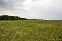 дмитра