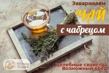 чаят мащерка вредите