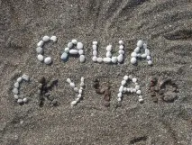 вече саша