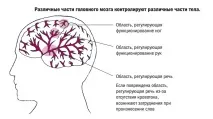 какво предотврати
