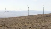 environmental екологична