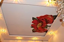 Квіти на стелі згіпсокартону або натяжному фото ідеї натяжному