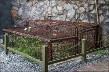 Що творили американські гуманоїди у В’єтнамі, Я народився в СРСР єтнамі