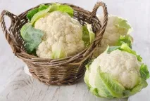 Цвітна капуста корисні та шкідливі властивості продукту капуста