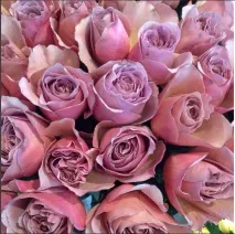 «Фея