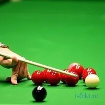 какво факти