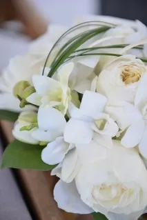 cream